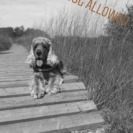 La Maison Du Ferienhaus Spa